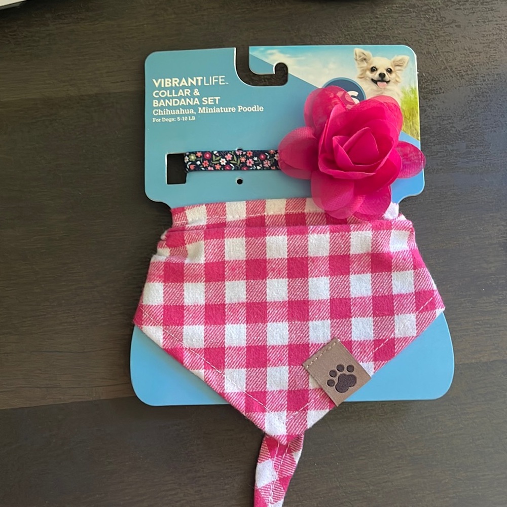 Dog Collar - Picture 1 of 3